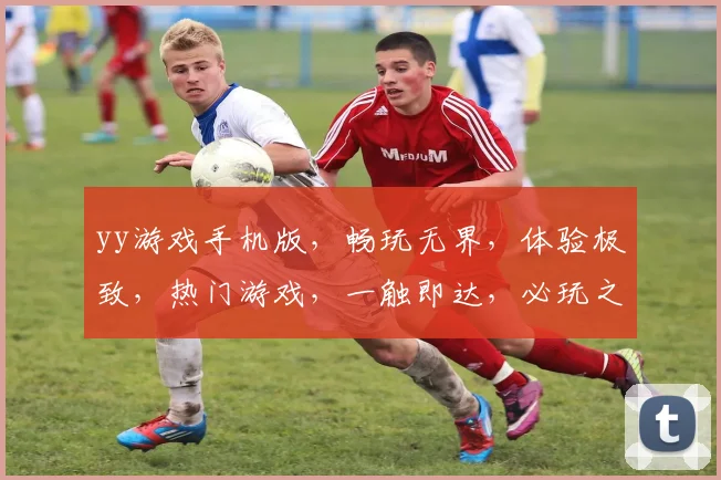 yy游戏手机版，畅玩无界，体验极致，热门游戏，一触即达，必玩之选，不容错过